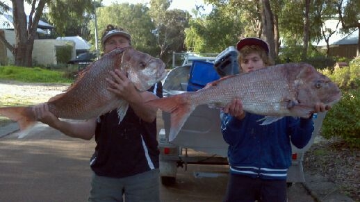 Southwest Pink Snapper